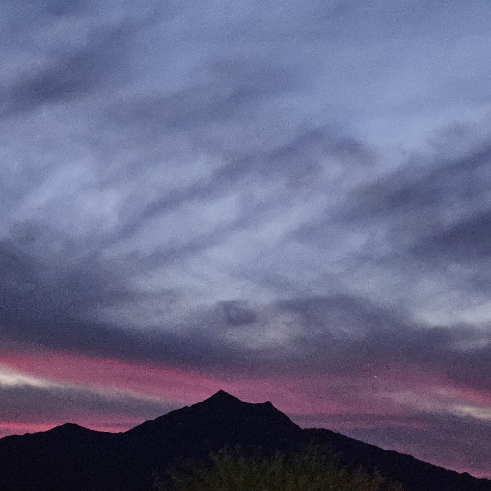 Meet your Posher, Cynthia